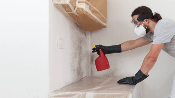 Attic Mold Remediation treatment on roof deck in Algonquin